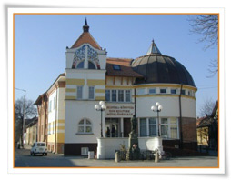 alkotohaz